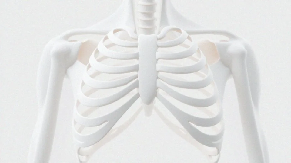 Jakie są możliwe deformacje mostka?