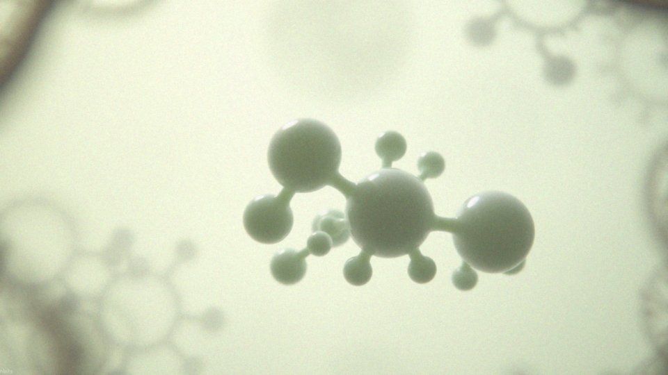 Jak enzymy przyspieszają metabolizm organizmów żywych?