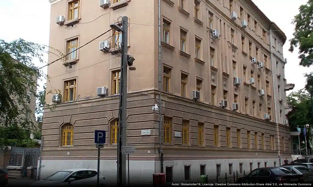 Przewodnik po utylizacji choinek po świętach w Warszawie