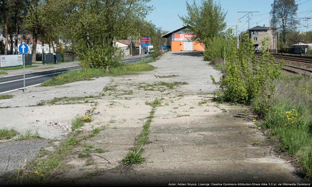 Warszawskie Schronisko na Paluchu z pierwszą w Polsce specjalistyczną karetką weterynaryjną